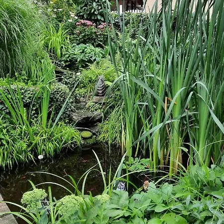 Am Teich * Kamp-Bornhofen