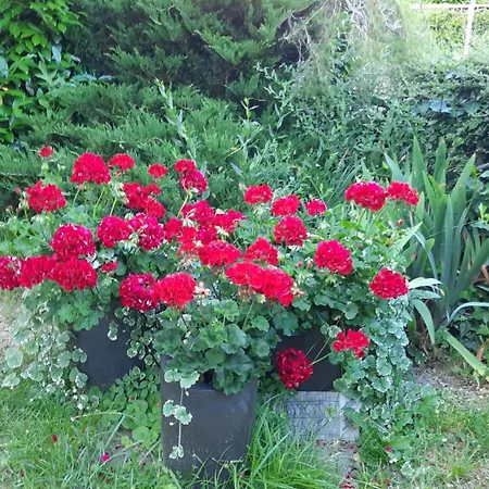 Apartamento Am Teich Kamp-Bornhofen