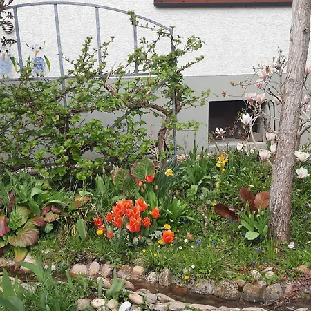 Appartement Am Teich