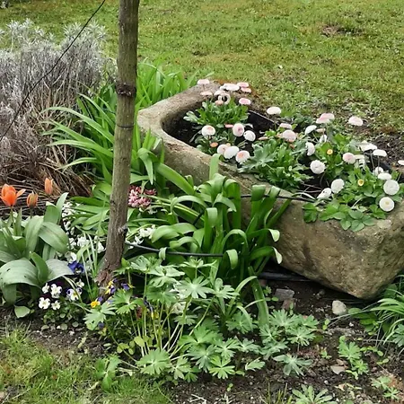 Am Teich * Kamp-Bornhofen