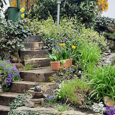 Am Teich Apartament *