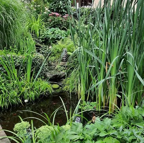 Am Teich * Kamp-Bornhofen