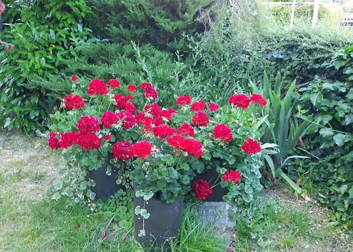 Apartamento Am Teich Kamp-Bornhofen