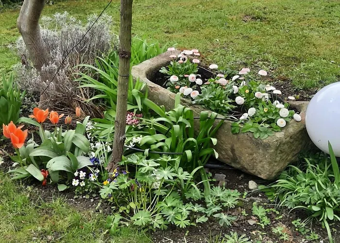 Am Teich * Kamp-Bornhofen